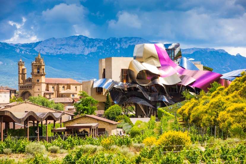 A vineyard designed by Frank Gehry.